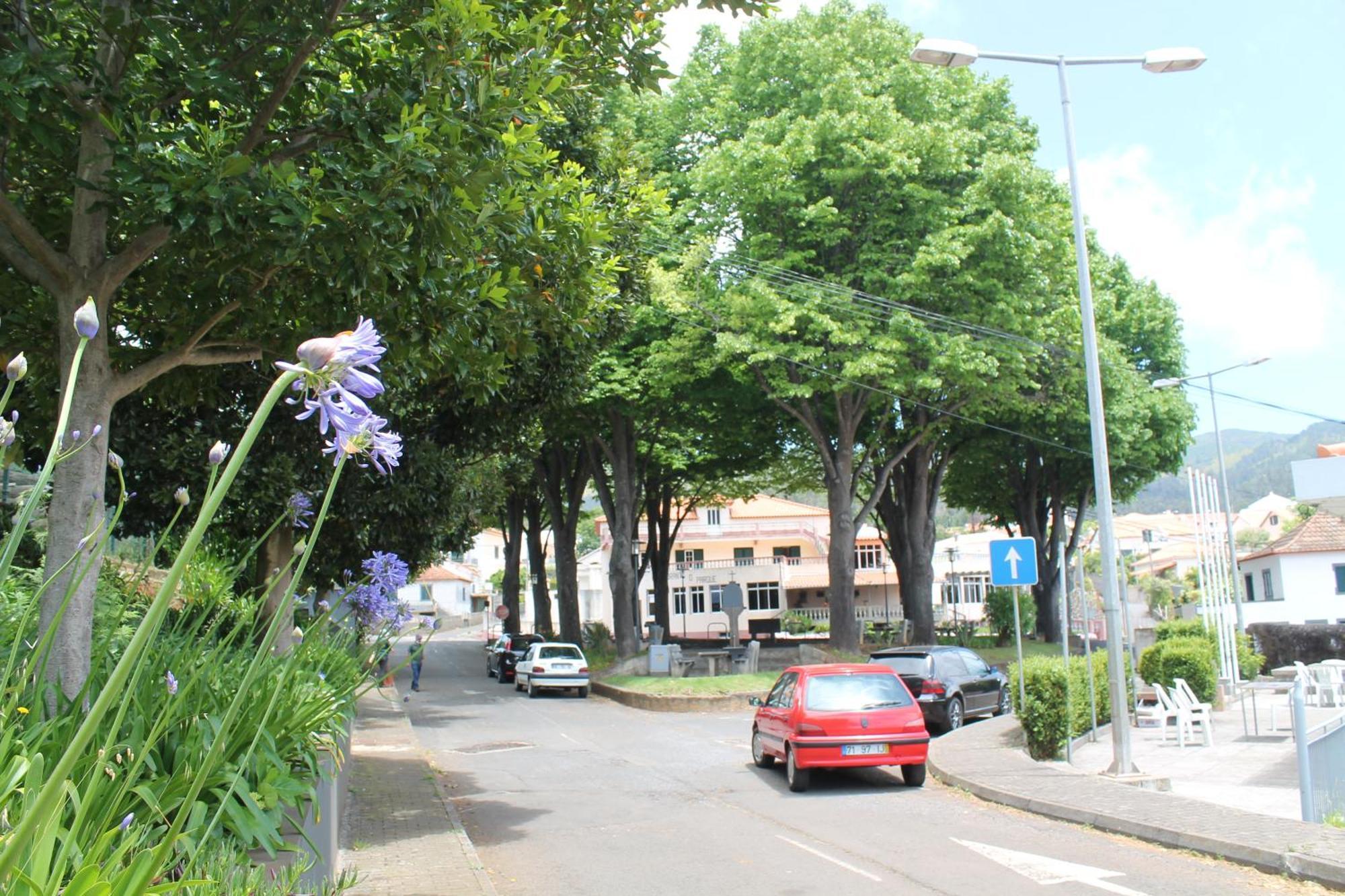 Ourmadeira - Seaview Apartment, Countryside Calheta  Luaran gambar